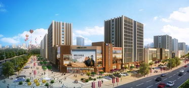 白馬凼片區舊城拆遷 專業市場重生之路劍指何方