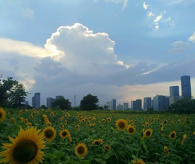 福建省福州市倉山區蓋山鎮南江濱西大道